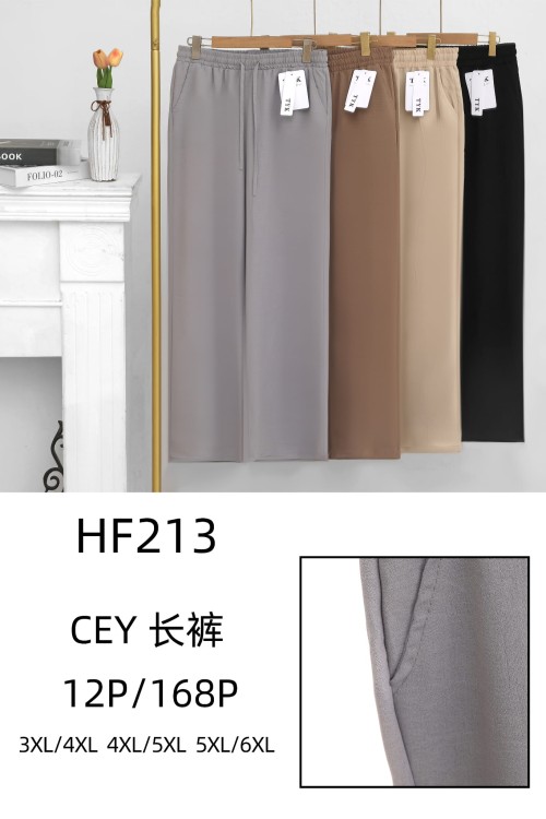 HF213.jpeg
