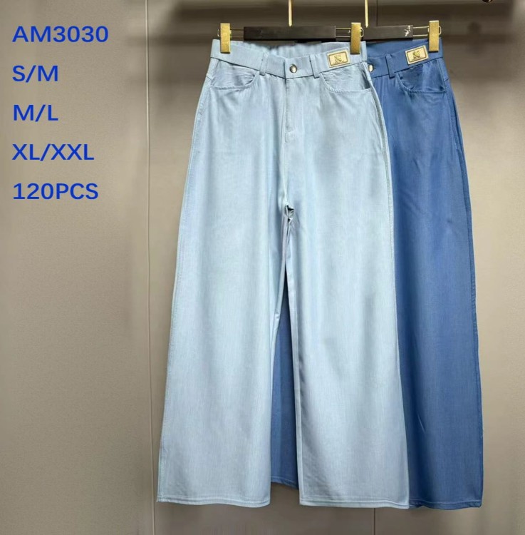 AM3030.jpg